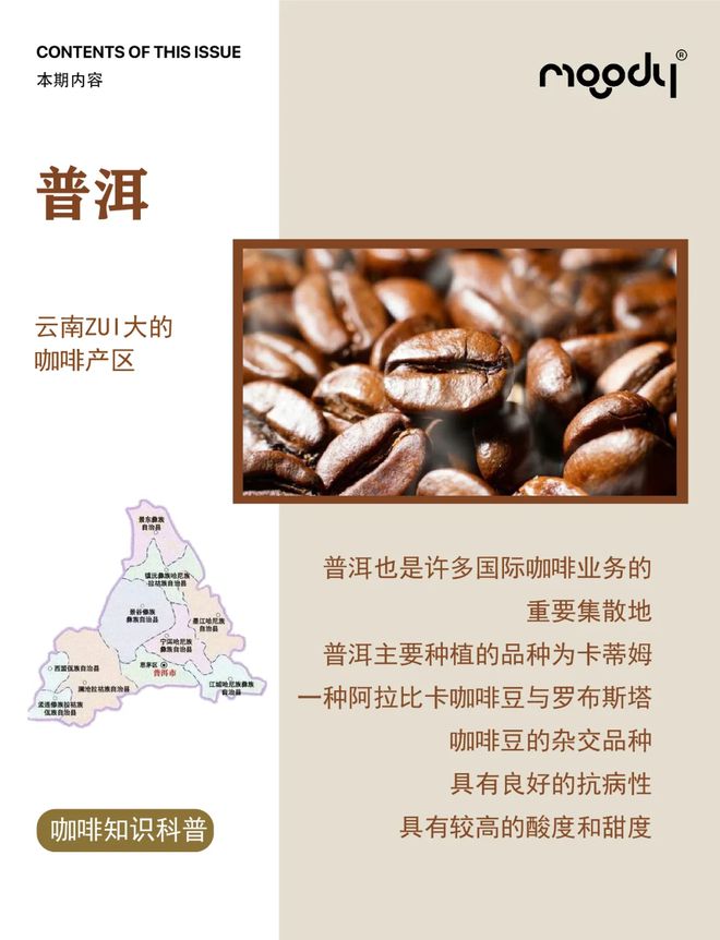 啡：彩云之南的馥郁传奇不朽情缘app云南咖(图6)