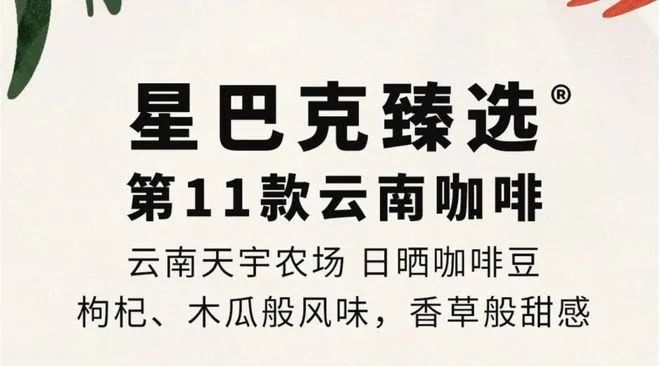啡：彩云之南的馥郁传奇不朽情缘app云南咖(图8)