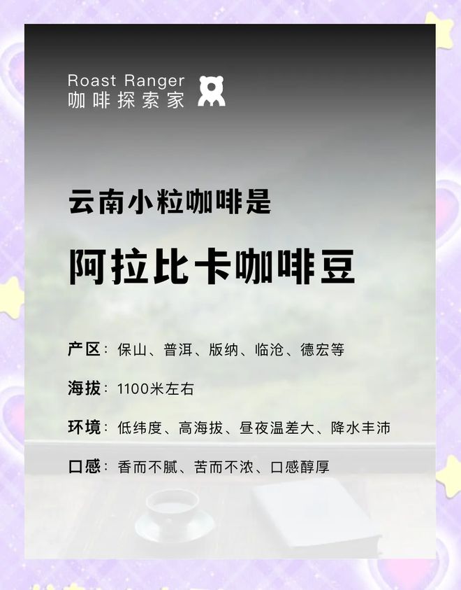 啡：彩云之南的馥郁传奇不朽情缘app云南咖(图14)