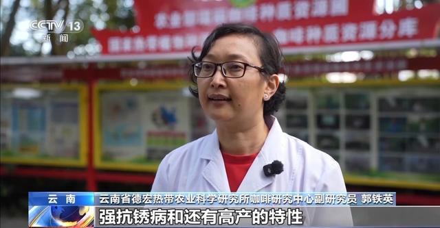 “混搭”经营 云南“咖啡＋”成消费新时尚mg不朽情缘游戏试玩丨用好豆出好咖啡(图3)