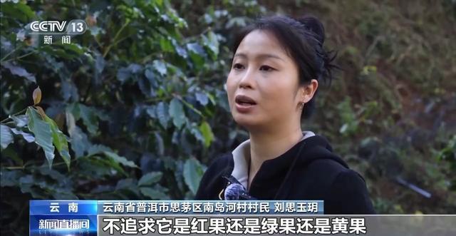 “混搭”经营 云南“咖啡＋”成消费新时尚mg不朽情缘游戏试玩丨用好豆出好咖啡(图9)