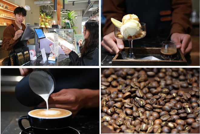 烟火 一粒咖啡豆的云南奇旅不朽情缘平台登录入口国寿映