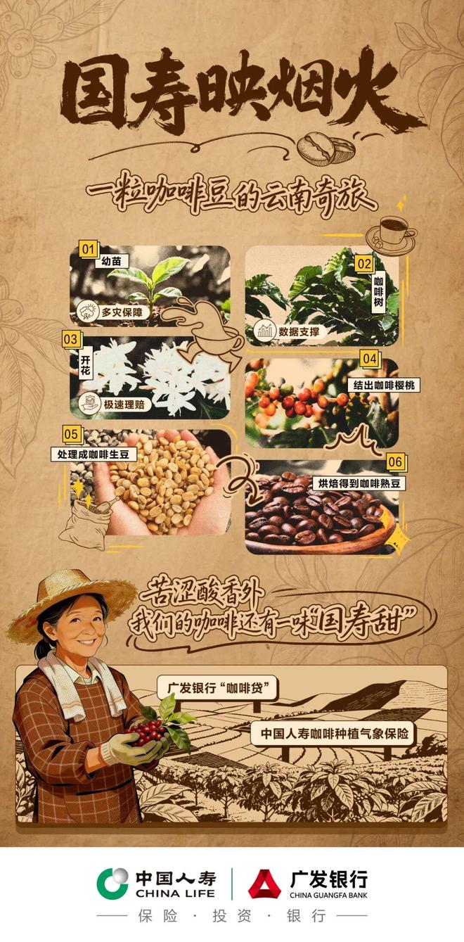 烟火 一粒咖啡豆的云南奇旅不朽情缘平台登录入口国寿映(图3)