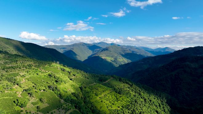 烟火 一粒咖啡豆的云南奇旅不朽情缘平台登录入口国寿映(图9)